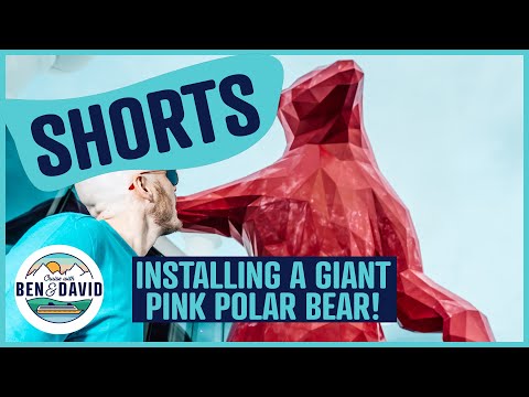 Thumbnail for Installing a GIANT POLAR BEAR on a Cruise Ship