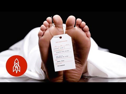 Playing Dead For a Living: What It Feels Like