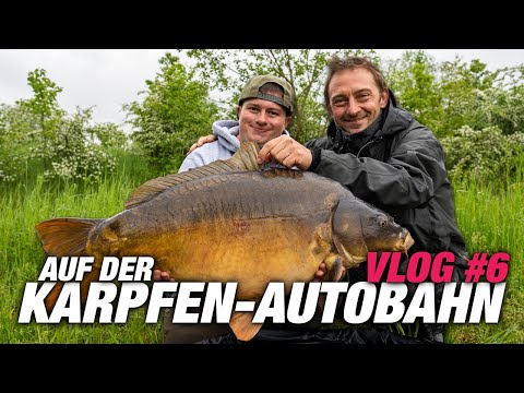 VLOG on the River #6 | with Robin Illner and Philipp Resch on the Carp Highway | P.R. Baits | Boilie