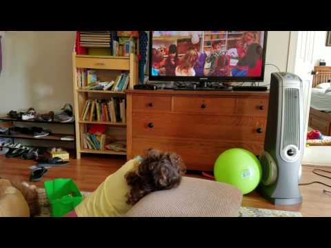 Das Wachmacherlied, but I don't know what that means...