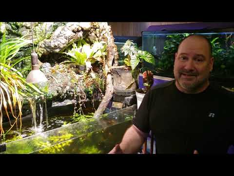 Proof You Don't Need To Worry About Temperature During Water Changes