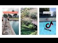 NZ Manu TikTok Compilation
