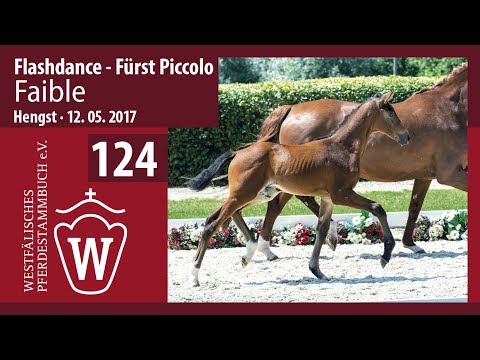 124 Faible  Hengst v. Flashdance - Fürst Piccolo