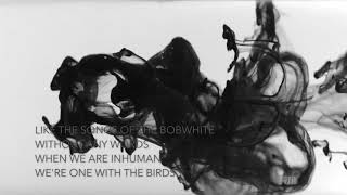 One With The Birds - Bonnie Prince Billy Cover