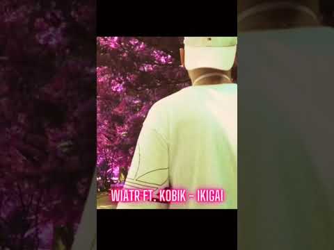 Wiatr ft. Kobik -Ikigai #rap #music #poland #polska #goldenmusic #instagram #muzyka #youtubeshorts