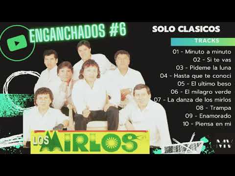 LOS MIRLOS Del Perú|| Canta Raúl Pastor (Grandes Exitos) Enganchados