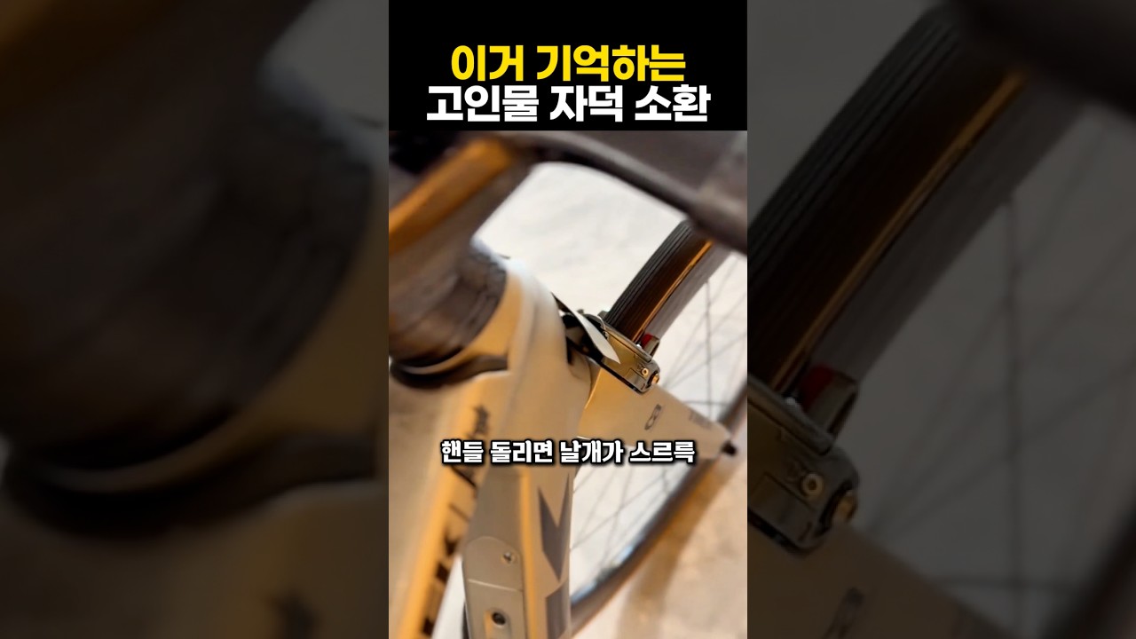 기억 속에 남은 트렉 마돈의 벡터 윙
