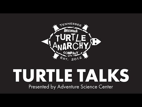 Turtle Talks: Cans vs Bottles