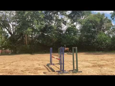 HPH Walk in Blue Tok, 6 anos by Zirocco Blue! Treino 03/04/2022