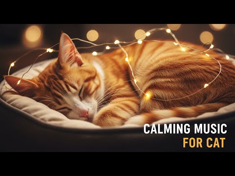 12 hours of Soothing Music for Cats with Hyperactivity 😼 Relaxation Therapy & Healing for Deep