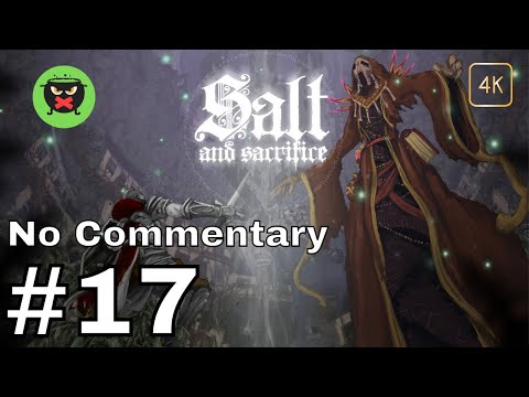 Salt and Sacrifice (No Commentary) | #17 | Nameless Terramancer (Bol Gerahn)