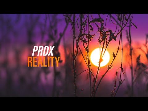 PRDX - Reality (Official Audio) [Copyright Free Music]