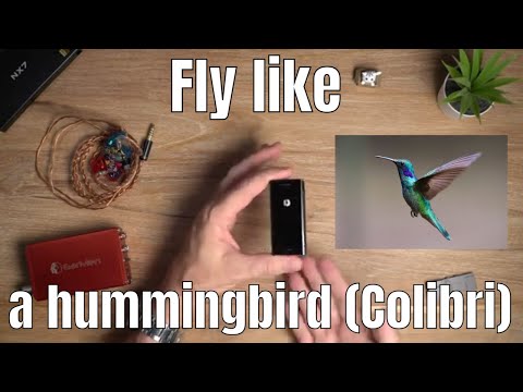 Take a look at why the Earmen Colibri is unique.