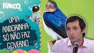 Tomé Abduch: ‘Bolsonaro é o equilíbrio do mundo e o único que luta contra a esquerda’