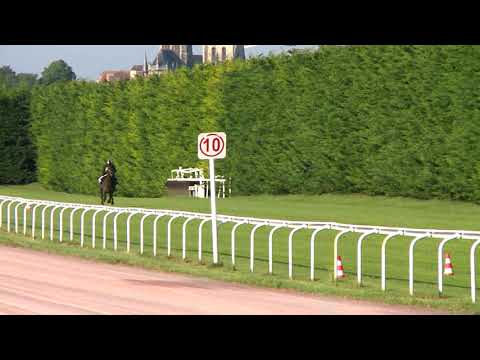 Breeze-Up Osarus 2020 - Lot 41