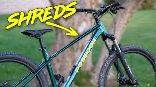 Is This The BEST HARDTAIL MTB Under $700? | Poseidon Norton