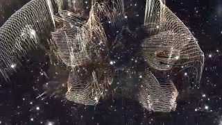 Lilies on Mars  -  Dancing Star