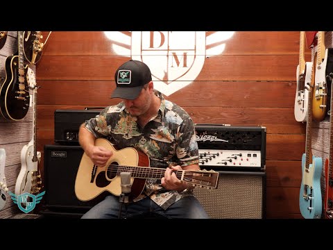 Danville Music Quickie Gear - Santa Cruz Skye OO #1222