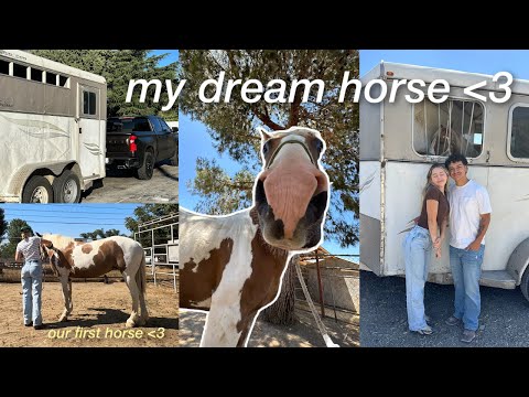 we drove 12 hours to pick up my dream horse 💌 | new barn & vet appt