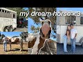 We Drove 12 Hours To Pick Up My Dream Horse New Barn Vet Appt