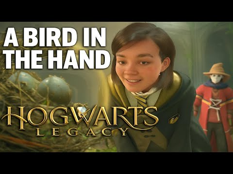 A Bird In The Hand | Hogwarts Legacy | Walkthrough, No Commentary, 4K, RTX