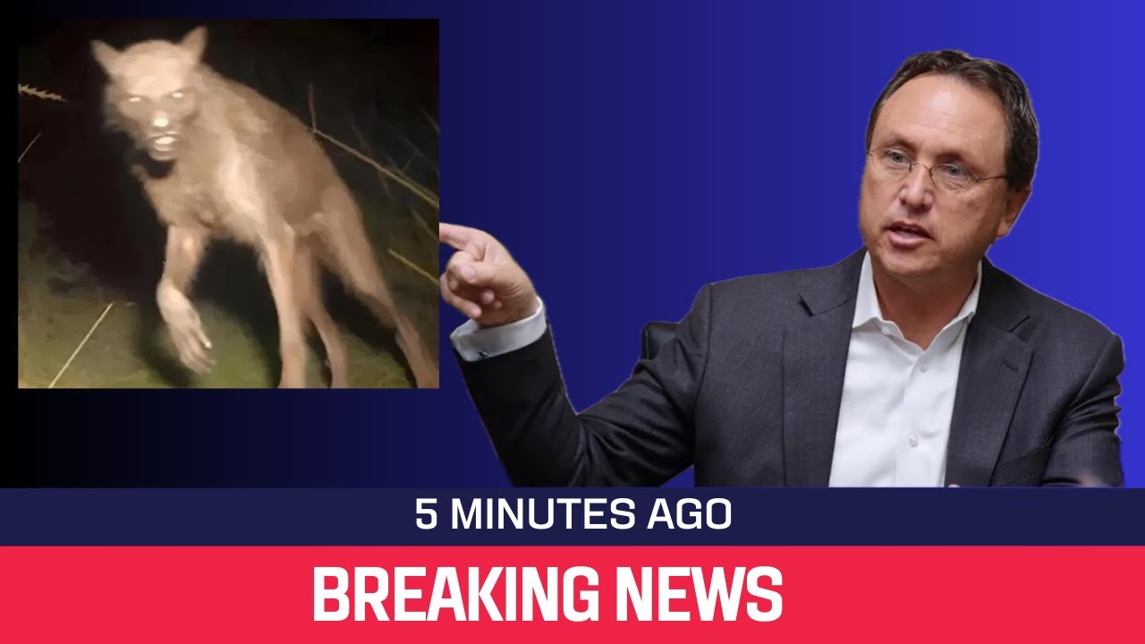 YouTube Thumbnail Downloader FULL HQ IMAGE