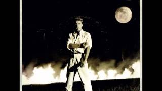 Roger Daltrey - "After The Fire"