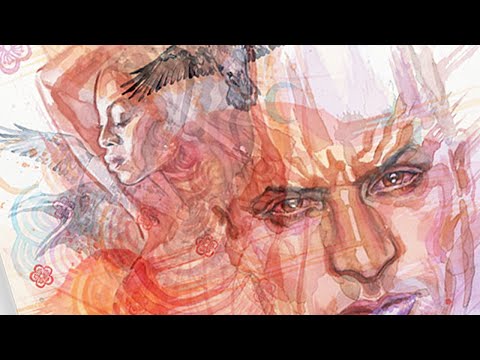 panellogy 422 - american gods - complete oversized edition with slipcase