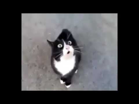 #Sogra boa, e #Sogra do capeta