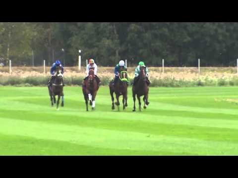 Provridning Bro Park