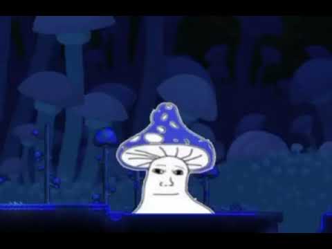 every single wolfgang main when day 3