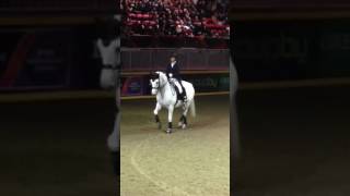 Leonard Cohen dressage Tribute