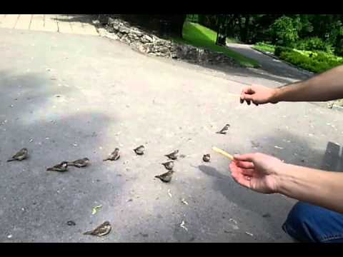 20130614 112626 Zigfrīda Annas Meierovica bulvāris