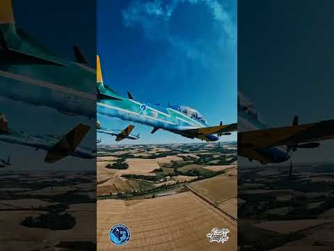 Esquadrilha da Fumaça piloto isolado #aviation #fab #military #eda #fumaça #militar #pilot