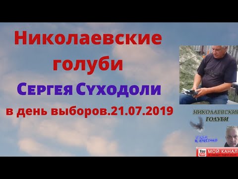 Голуби Сергея Суходоли в день выборов.21.07.2019