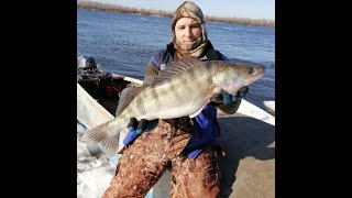 Ссылка