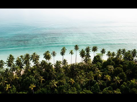 Welcome to Paradise - Pitstop Hill Mentawai, 2022