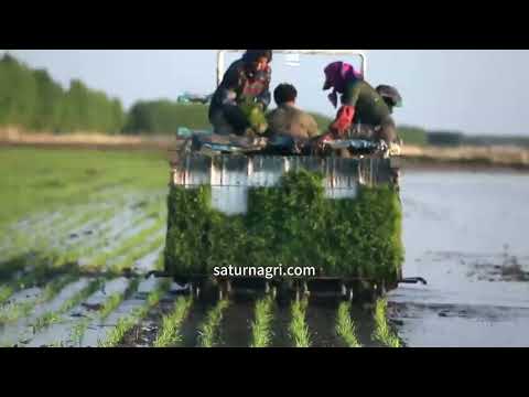 6 rows ride-on high-speed rice planter is a good helper for rice planting of grain growers.