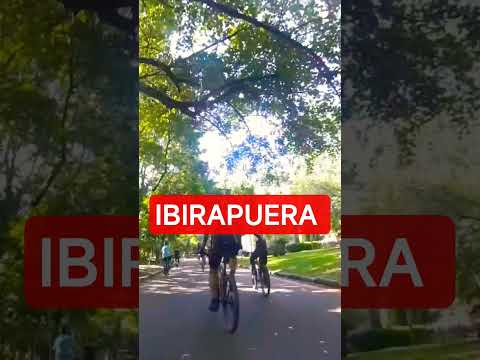 IBIRA SÃO PAULO #shortvideo