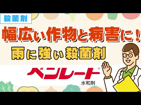 ベラトラムのアルバム