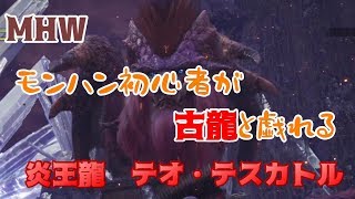 【MHW】モンハン初心者が古龍と戯れる【テオ・テスカトル】