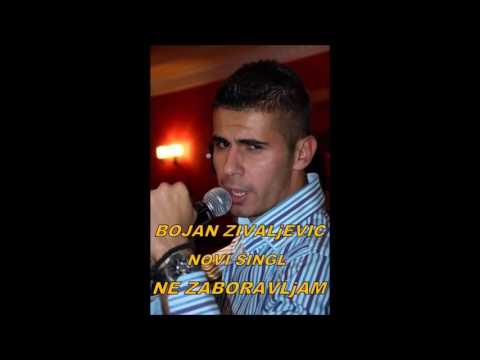 Bojan Živaljević  Ne zaboravljam