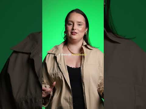 CONHEÇA A BANDEIRA DE PALMAS (PR)