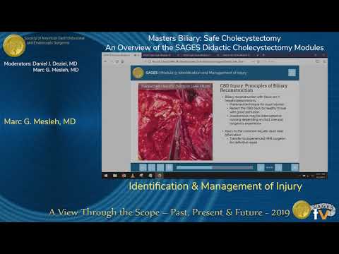 Identification & Management of Injury - Safe Cholecystectomy