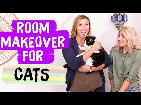 Cat Room Makeover! | Mr. Kate Decorates