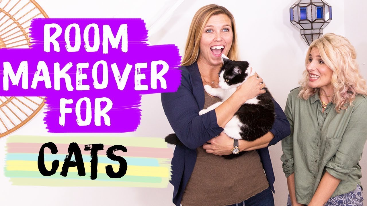 Cat Room Makeover! | Mr. Kate Decorates