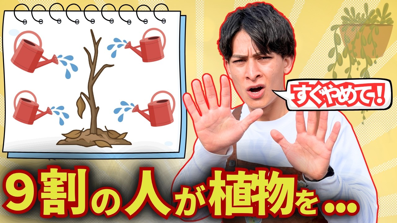 【水やりで枯れる？】根腐れの原因と直し方