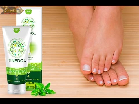 Gribok des Nagels fängt gewöhnlich mit an Die Knollenzwiebel von gribka der Nägel