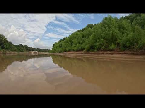 2025.09.06 Brazos River - 290 paddling north ( No Commentary; just nature ) Part 1