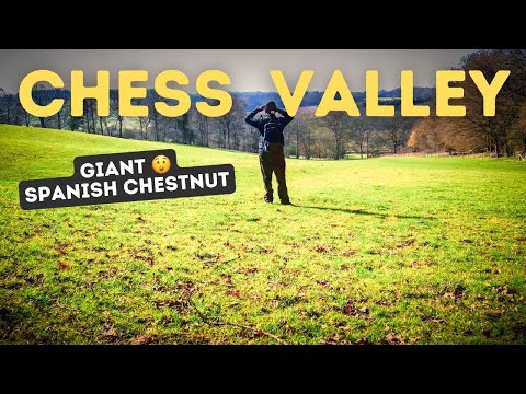 Chess Valley Walk in the Chiltern Hills